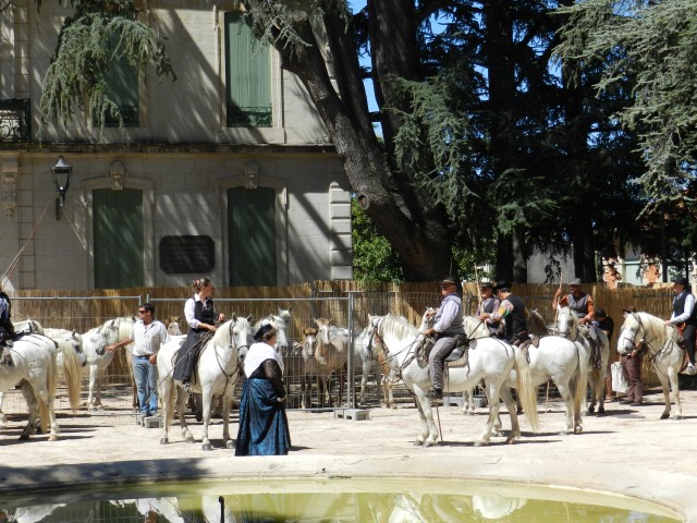 bouillargues_2015__38.jpg