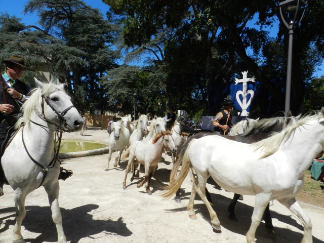 bouillargues_2015__42.jpg