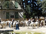 bouillargues_2015__38.jpg