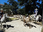 bouillargues_2015__41.jpg