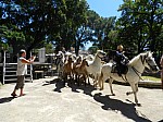 bouillargues_2015__45.jpg