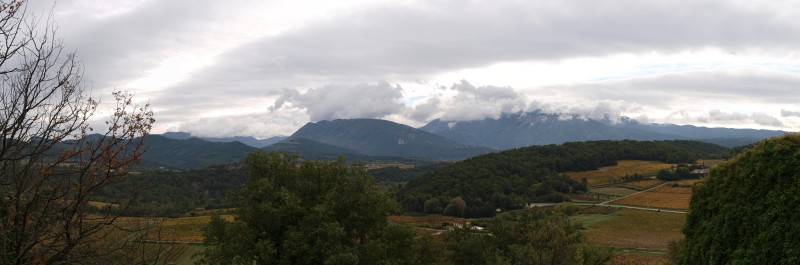 3_11_13_faucon_puymeras.jpg