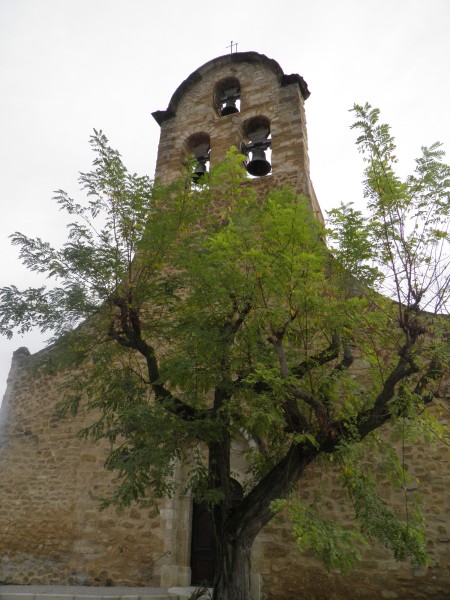 PB030015.jpg