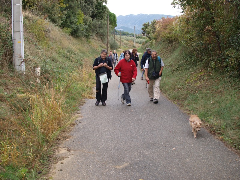 PB033464.jpg