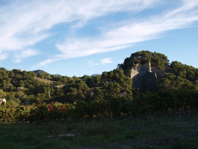 PB033500.jpg