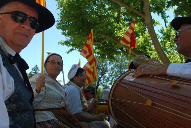Foire chevaux Bedarrides 2017_71.jpg