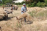 IMG_6951.jpg