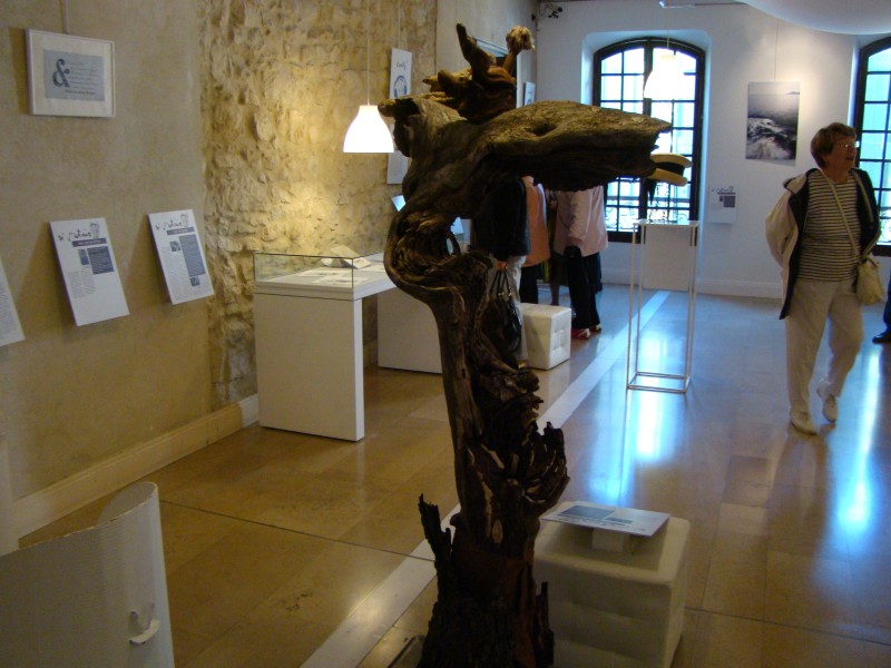 DSC07063.jpg
