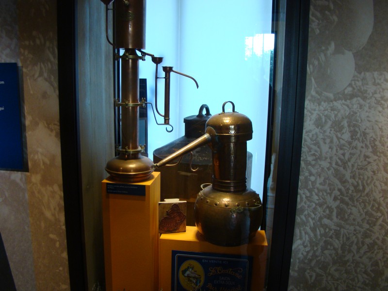 DSC07077.jpg