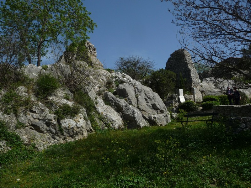 P1150526.jpg