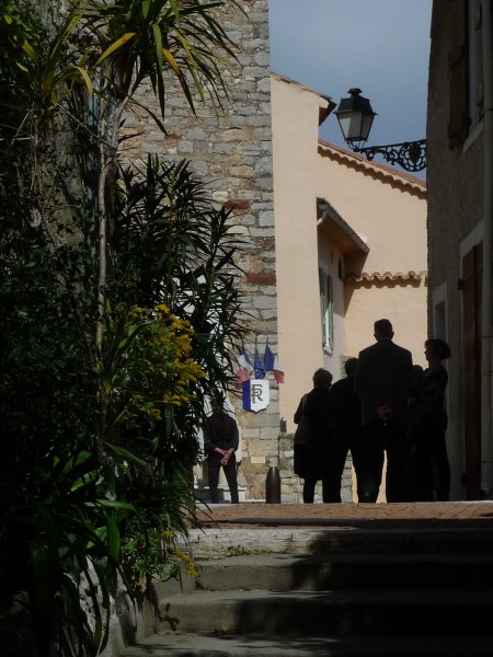 P1150534.jpg