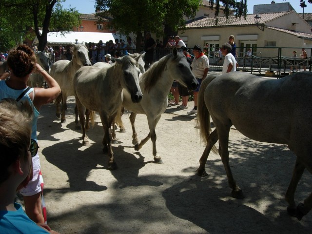 Bouillargues 2014 _38.jpg