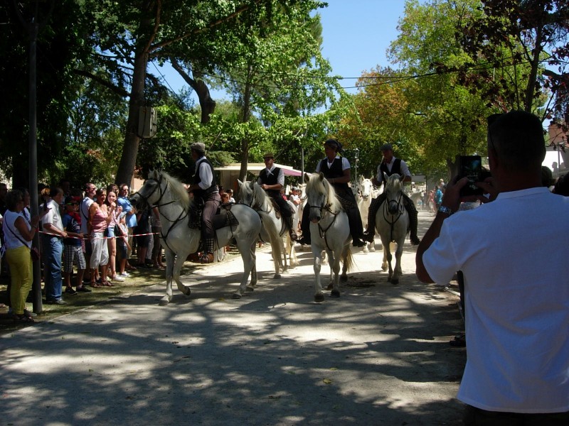 Bouillargues 2016_40.jpg