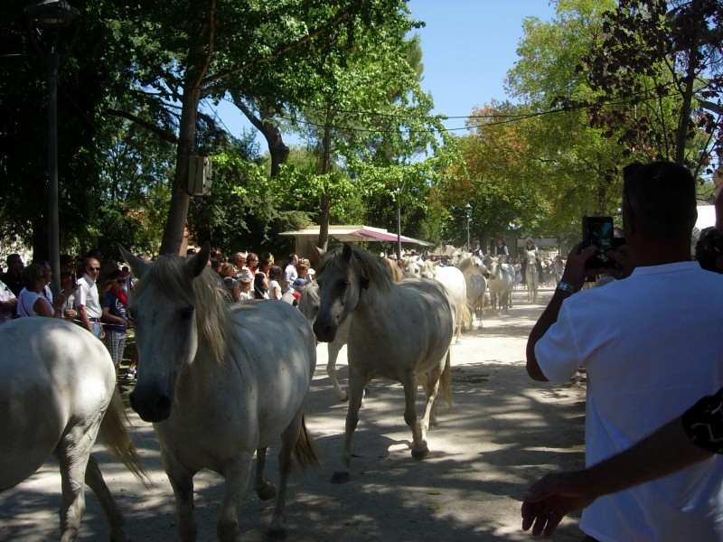 Bouillargues 2016_42.jpg