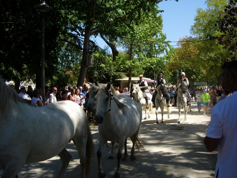 Bouillargues 2016_43.jpg