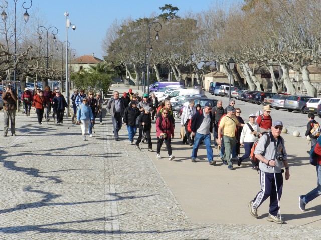 DSCN5450.jpg