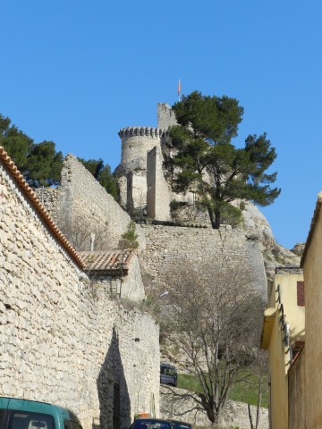 DSCN5455.jpg