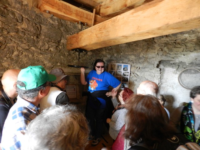 DSCN5479.jpg