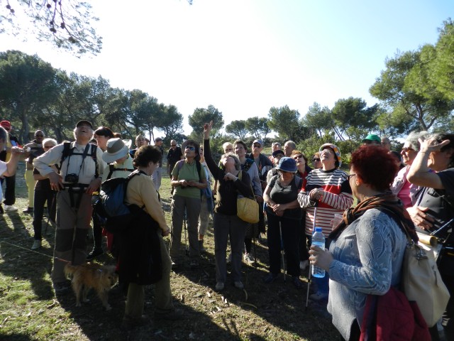 DSCN5498.jpg