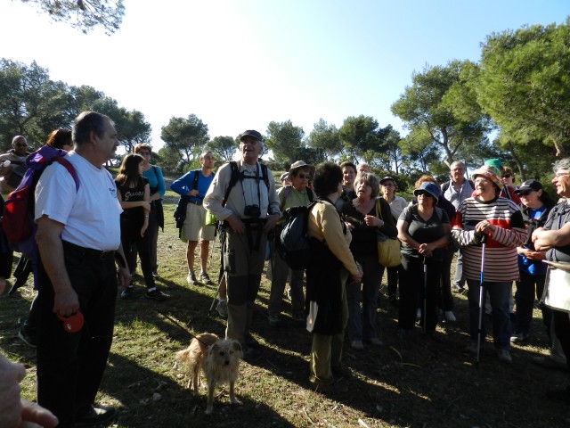 DSCN5500.jpg