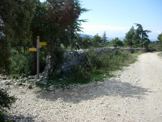 Rando Mur Peste 2017_21.jpg
