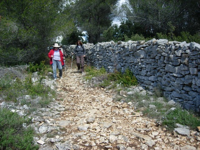 Rando Mur Peste 2017_30.jpg