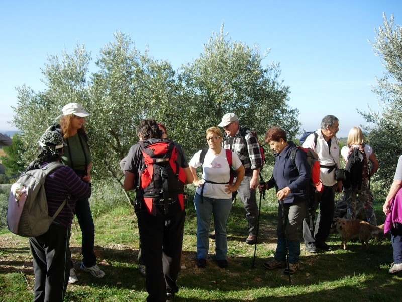 Rando_barroux_2015__05.jpg