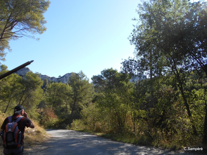 DSCN5384.jpg