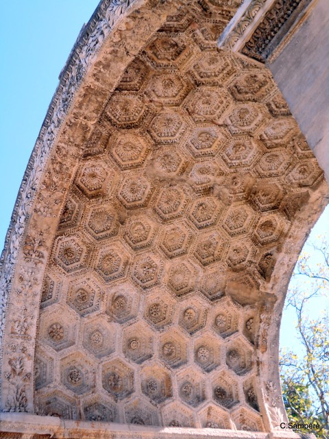DSCN5409.jpg