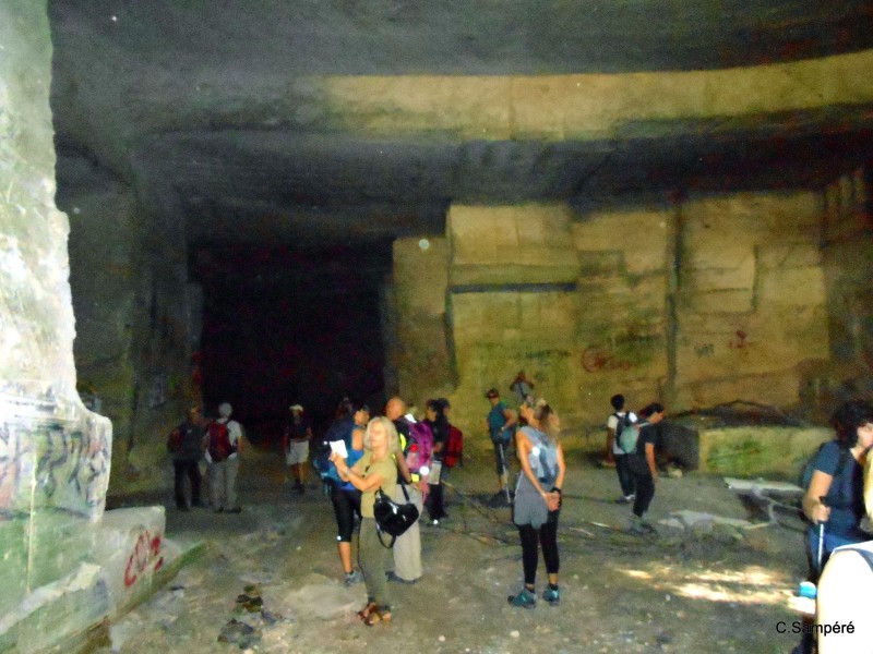 DSCN5429.jpg