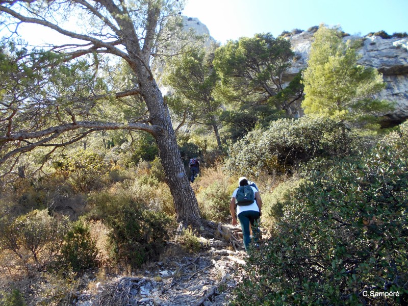 DSCN5448.jpg