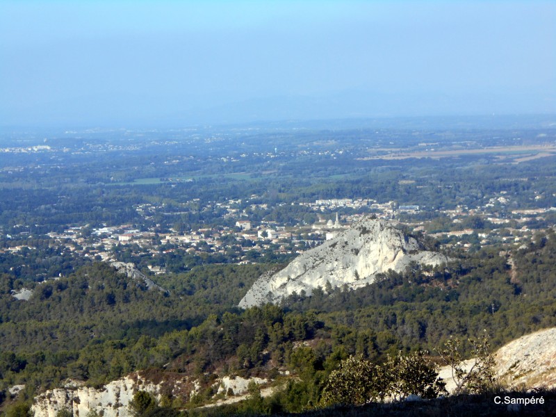 DSCN5491.jpg