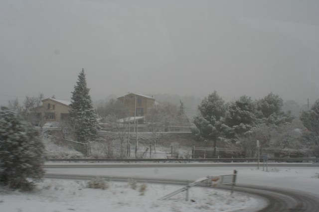 IMG_9681.jpg