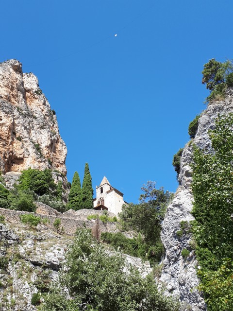 20180901_151855.jpg