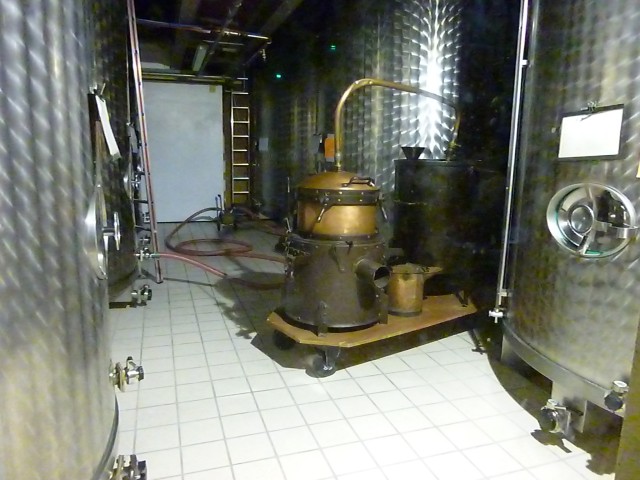 P1010679.jpg
