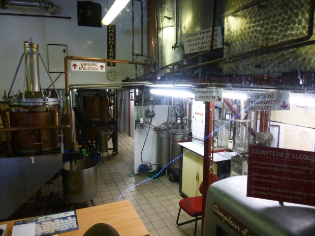 P1010689.jpg