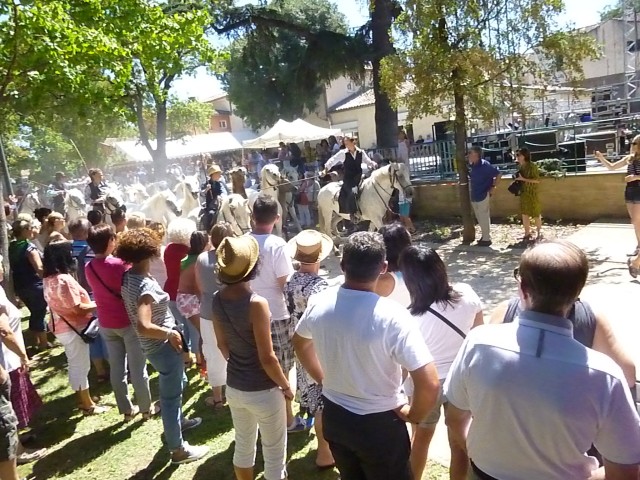 bouillargues_2015_suite__52.jpg