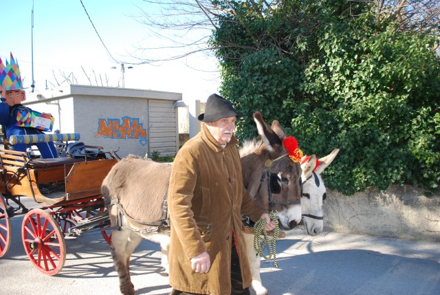 Carnaval_bedarrides_2016__18.jpg