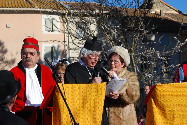 Carnaval_bedarrides_2016__74.jpg