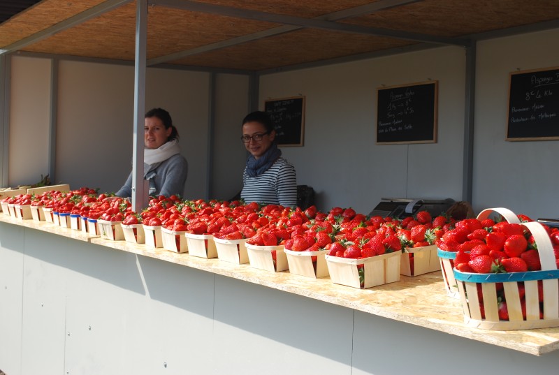 concours aioli 2019_03.jpg