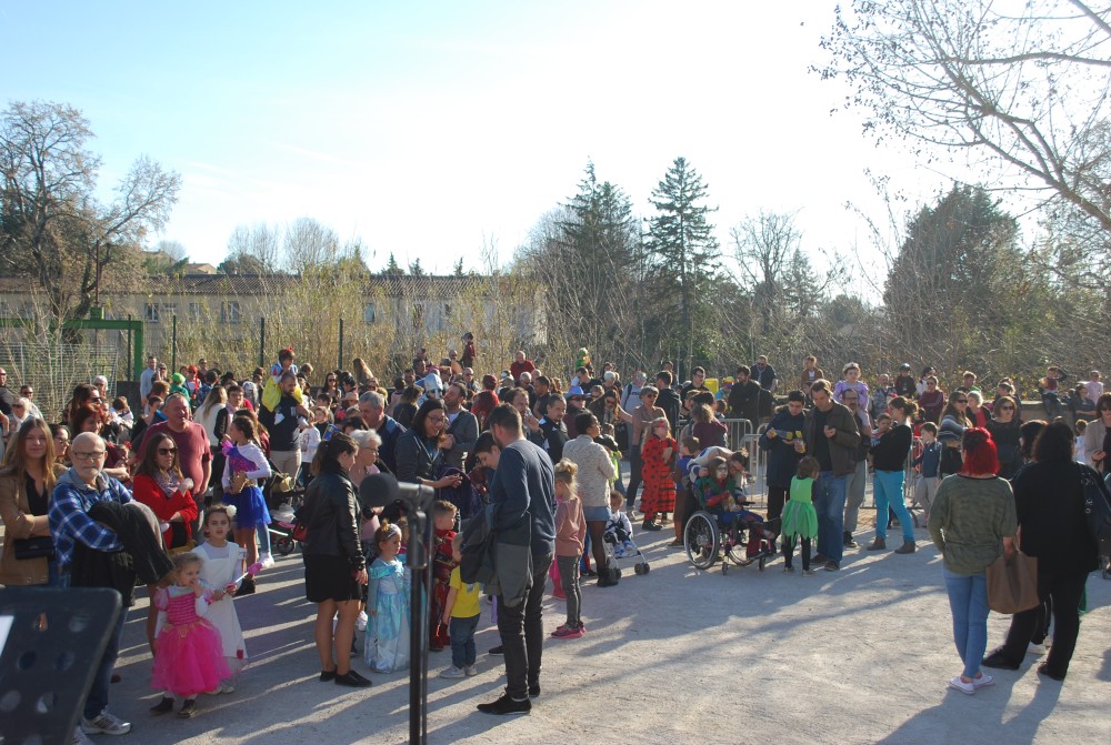 Carnaval_bedarrides_2020_42.jpg