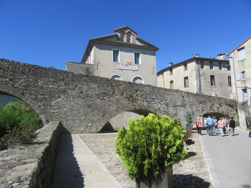 IMG_8400.jpg