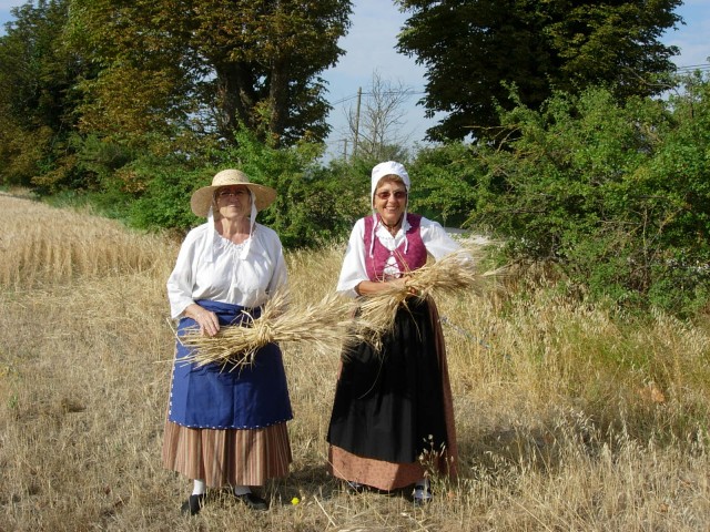 DSCN5420.jpg