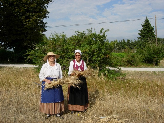 DSCN5421.jpg