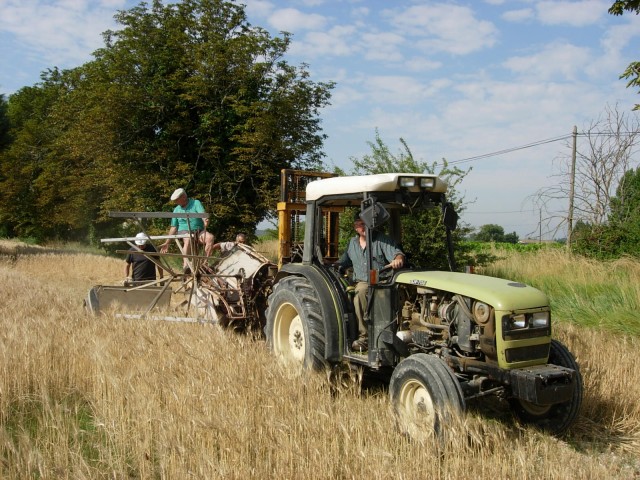 DSCN5428.jpg