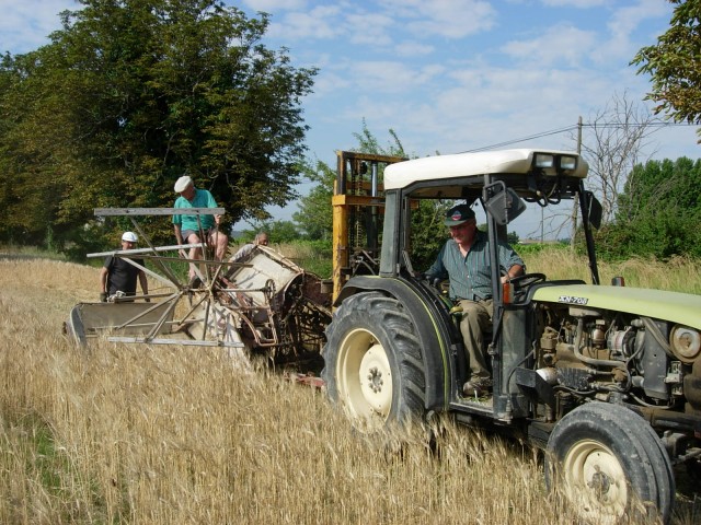 DSCN5429.jpg
