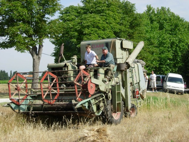 DSCN5435.jpg