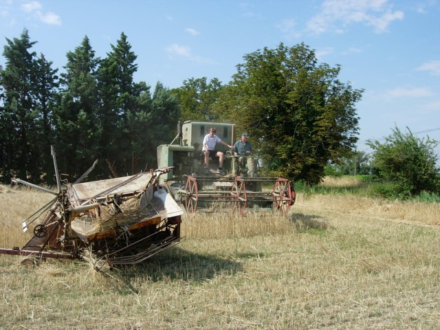 DSCN5436.jpg