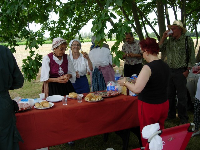 DSCN5440.jpg