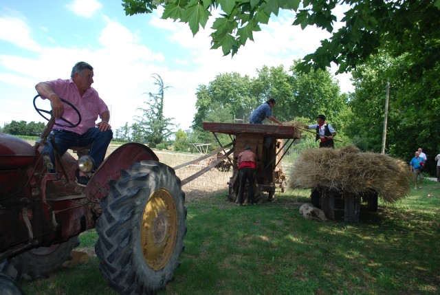 Moisson bedarrides 2014_08.jpg